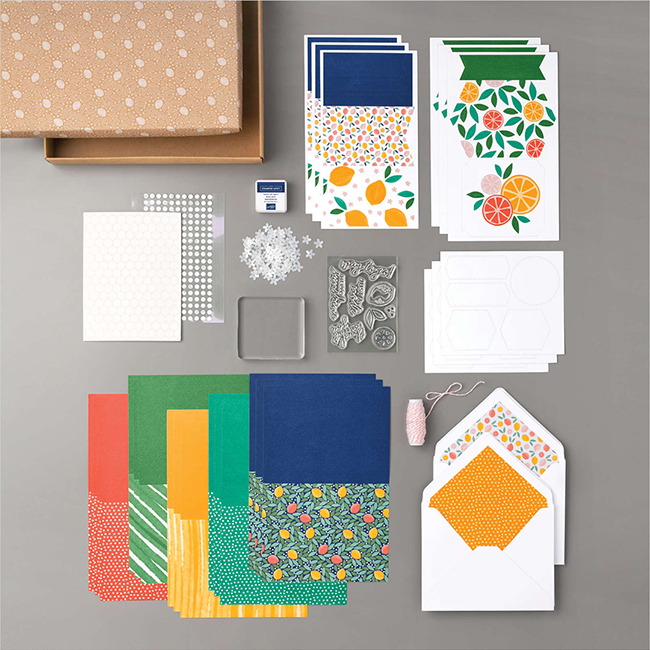 Picture of all the elements in the Stampin' Up! Simply Citrus Card Kit