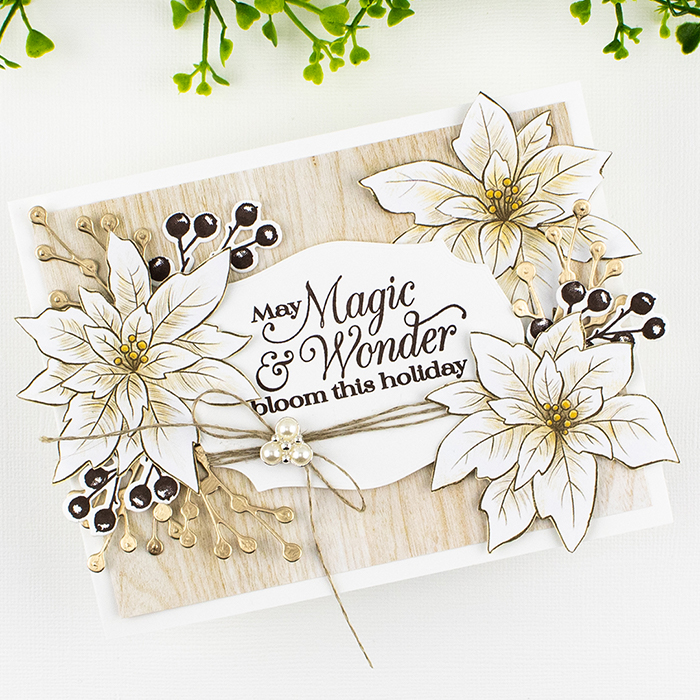 Christmas card in neutral colors with Poinsettias